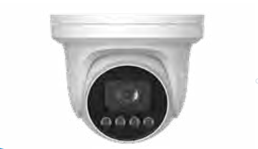 Eagle Eye Camera DT03 Outdoor Turret 4Mpix, NDAA, Starlight, WhiteLED, IP66, 2.8mm lens, microphone, POE, SDCard (EN-CDUT-003a)