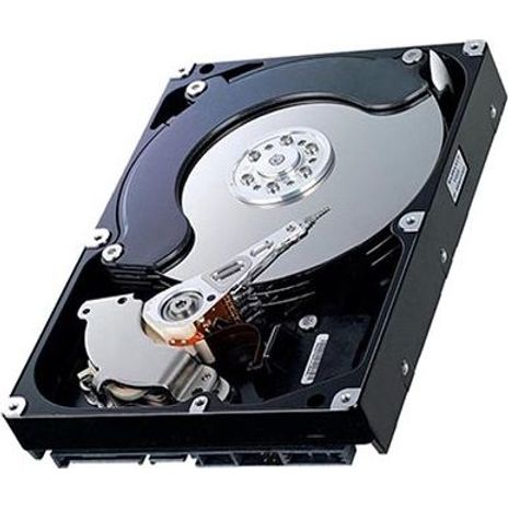 Disco duro ST33000651NS 3TB 7.2K 6G 3.5in LFF ES.2 SATA 9XK160-268