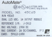 Carregar imagem no visualizador da galeria, 45C65 By Reliance Electric Dual 115 VDC 2A Output Module NSNB AutoMate
