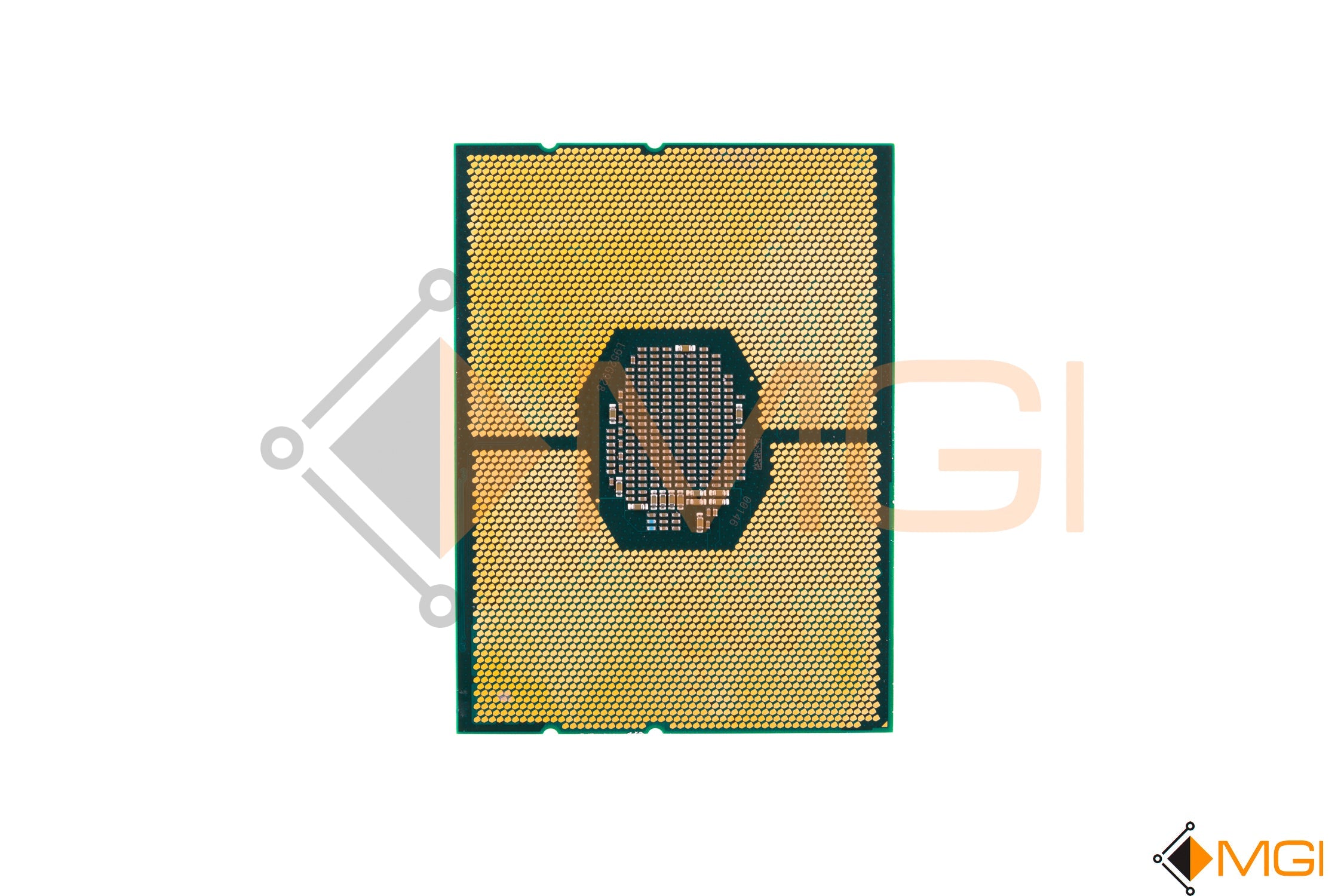 GOLD 6242 // SRF8Y