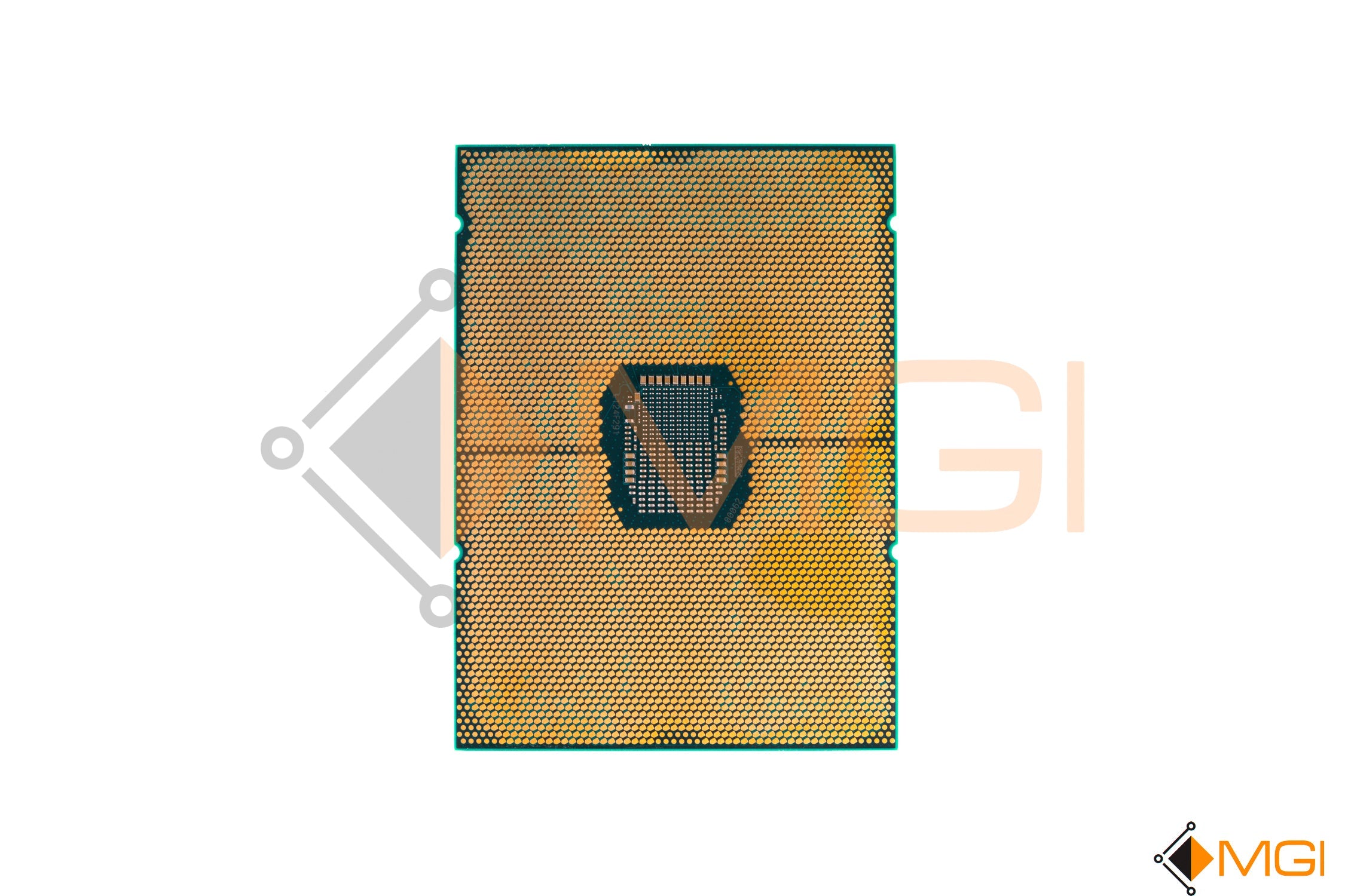 GOLD 6330 // SRKHM