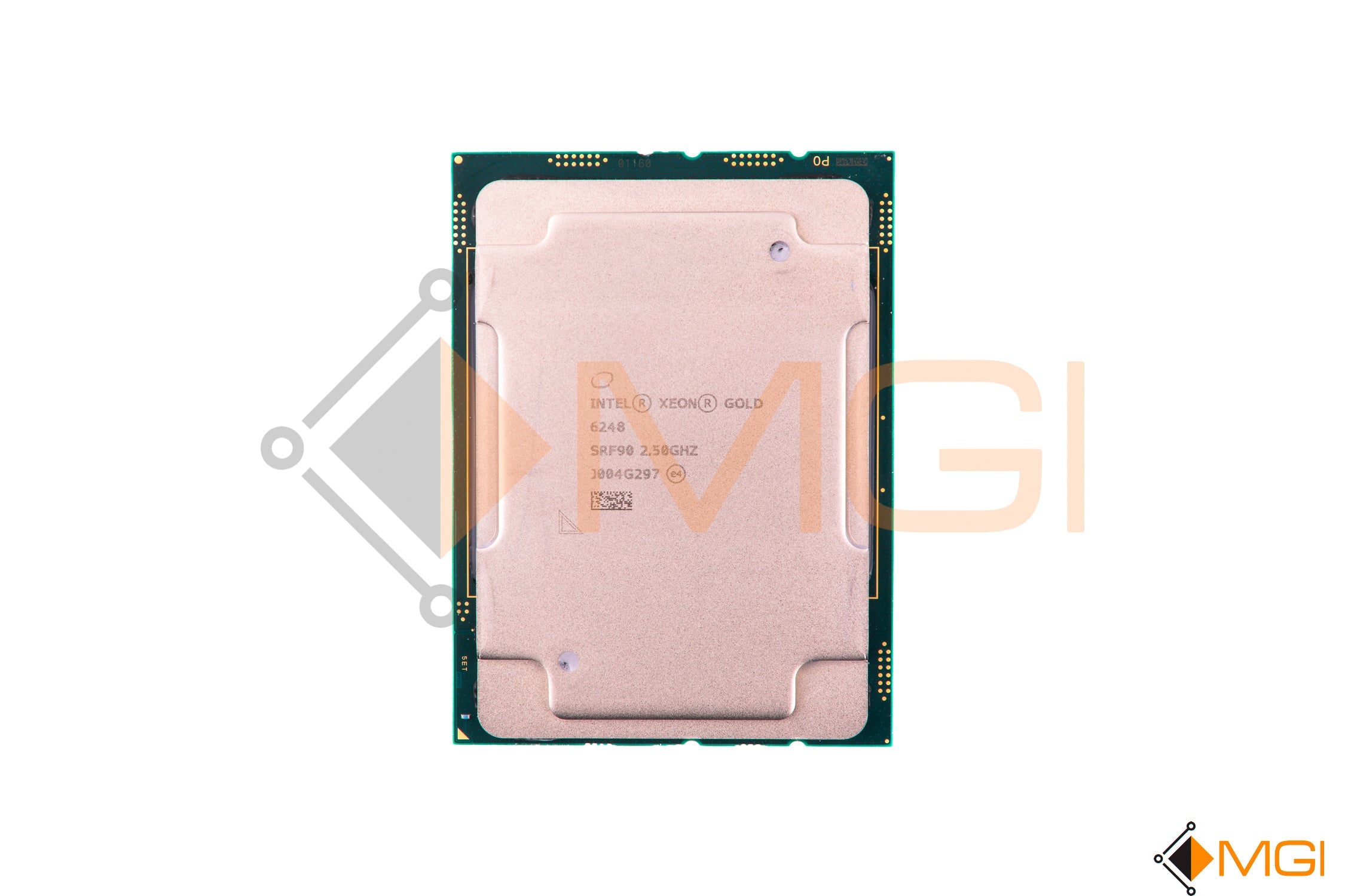 GOLD 6248 // SRF90 (DAMAGED)